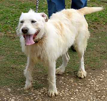 Photo of Jazz