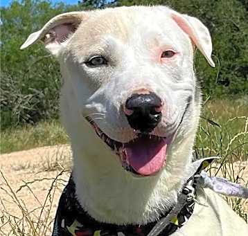 Photo of Ares