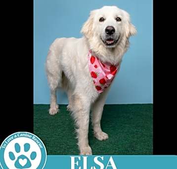 Photo of Elsa 021525