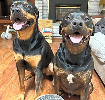 Photo of Donavan and Maverick