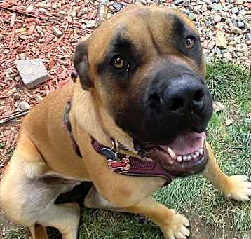 Photo of Coda