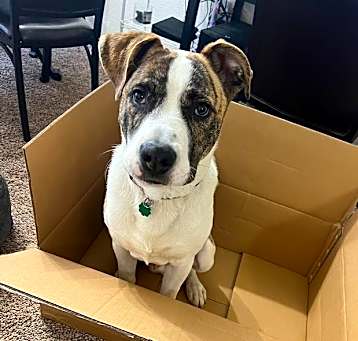 Photo of Kylo - Home to Home