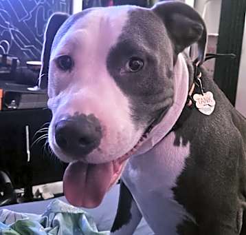 Photo of Tank