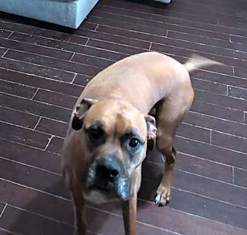 Photo of Allie