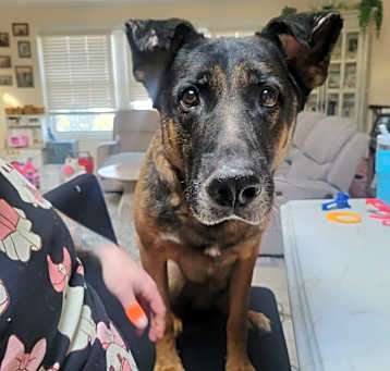 Photo of Chase