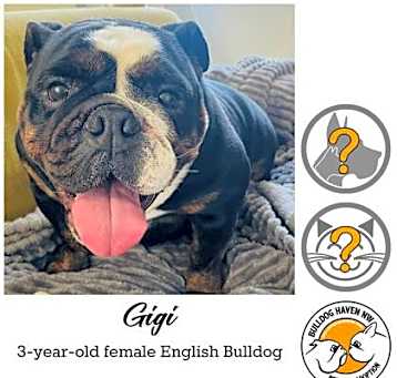 Photo of Gigi