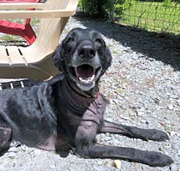 Photo of Mocha