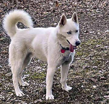 Photo of Casper