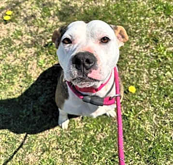 Photo of Athena