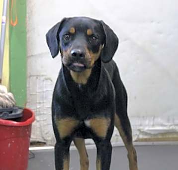 Photo of Nyla