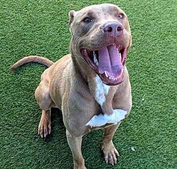 Photo of SCOOBY