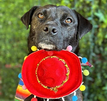 Photo of Maggie