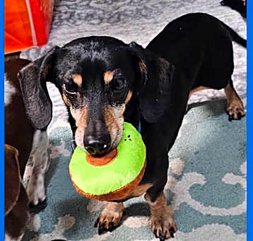 Photo of Sammy
