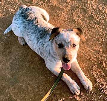 Photo of Osita