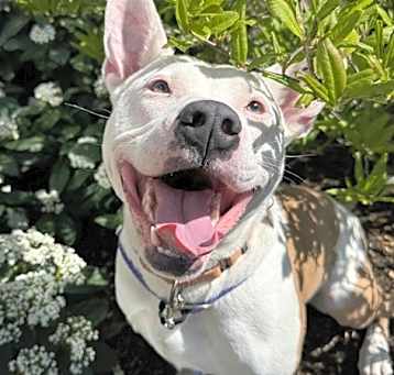Photo of Arlie