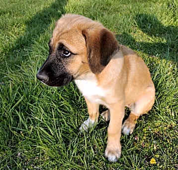 Photo of Princess