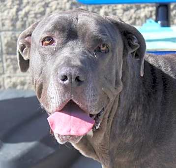 Photo of MOWGLI