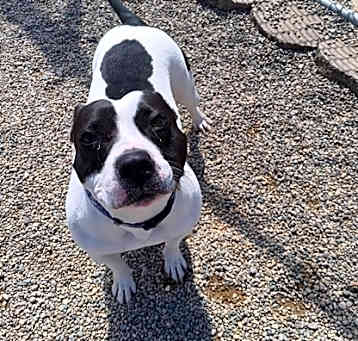 Photo of Gracie Lou