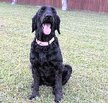 Photo of KENDRA