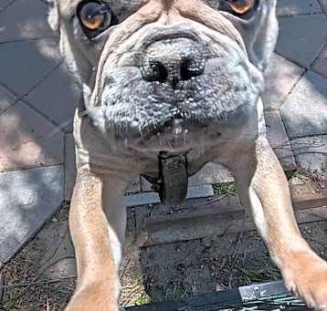 Photo of Tank