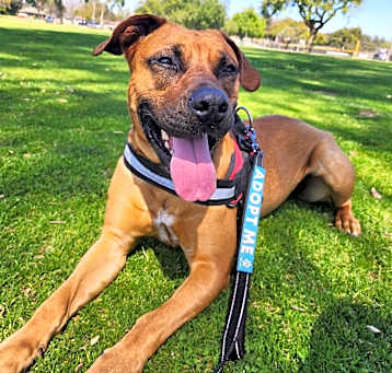 Photo of Tank