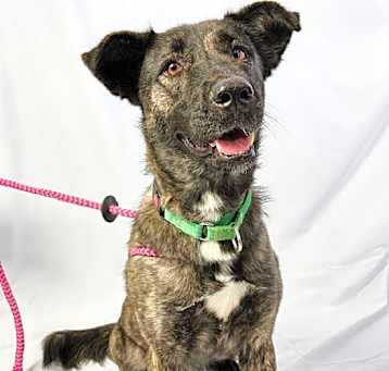 Photo of TUNDRA