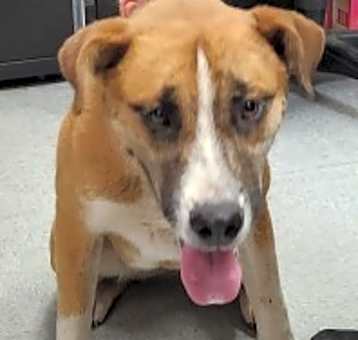 Photo of Calua