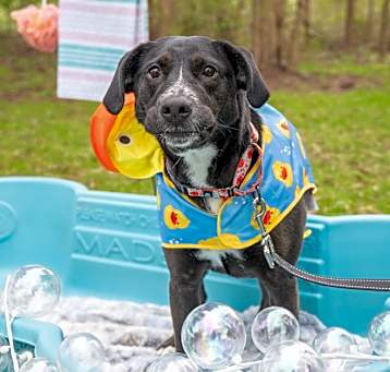 Photo of Mazie