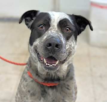 Photo of Tex