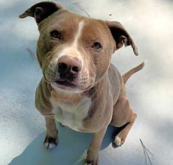 Photo of Lucy 25-D0163