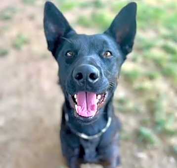 Photo of NOVA