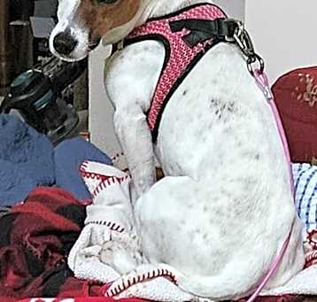 Photo of Moonshine