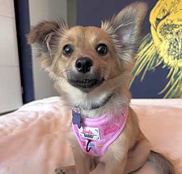 Photo of Winnie