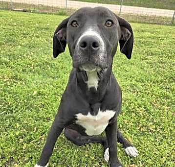 Photo of Tippy