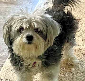 Photo of Luckie