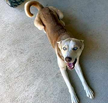 Photo of Blue