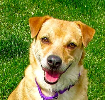 Photo of Luna