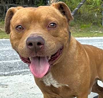 Photo of Debo