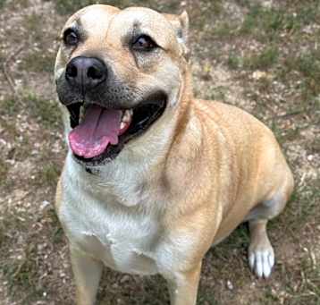 Photo of Chili