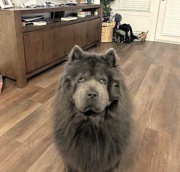 Photo of Kodak