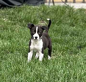 Photo of Matilda