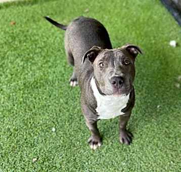 Photo of ROXY