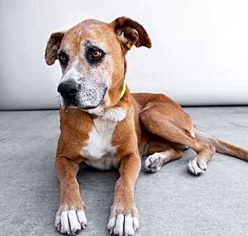 Photo of ROXY