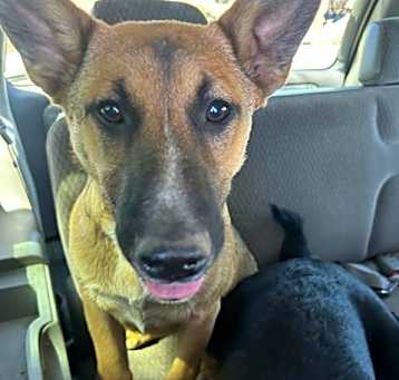 Photo of KIA