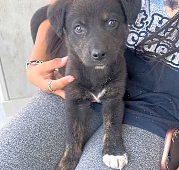 Photo of Zara