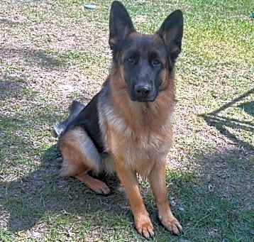 Photo of Kiley (CL)
