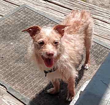 Photo of Daisy