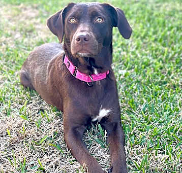 Photo of Mama Candy