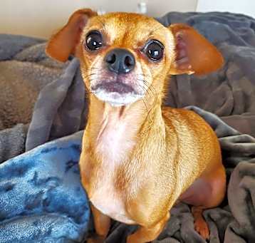 Photo of Charlie