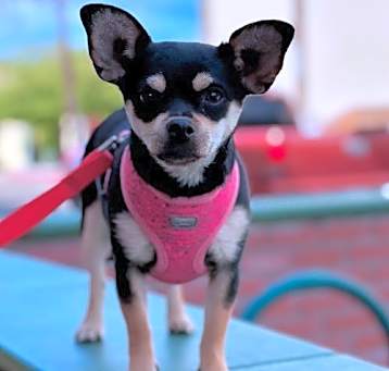 Photo of Sammie